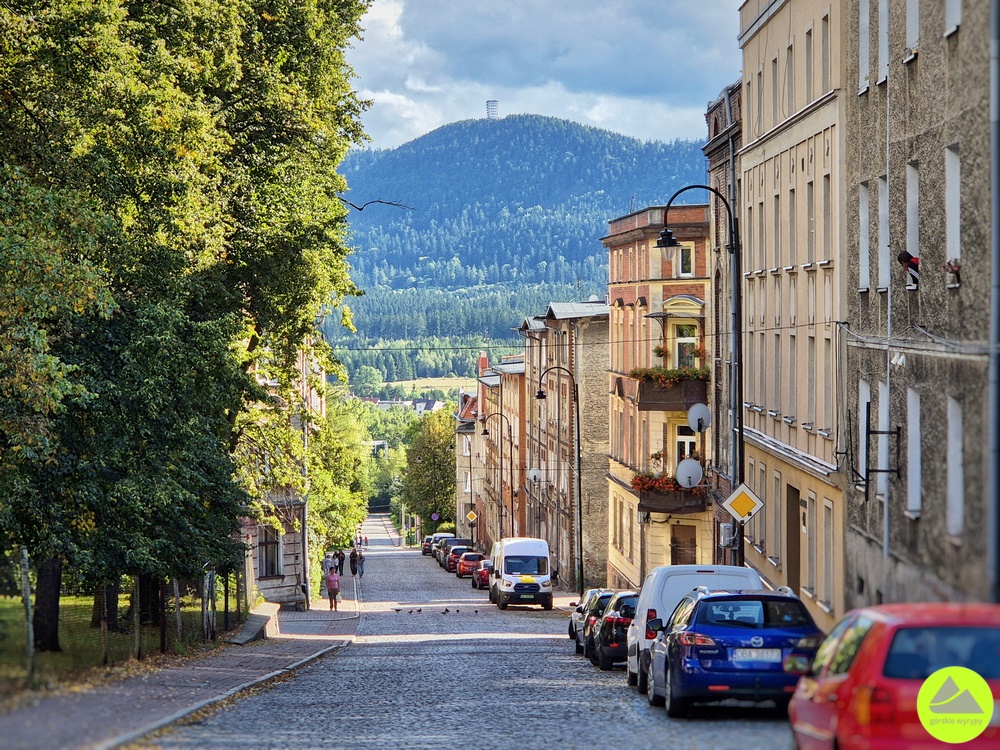 Dzikowiec Wielki - widok z Boguszów-Gorce 