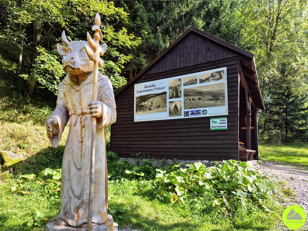 Budniki w Karkonoszach 
