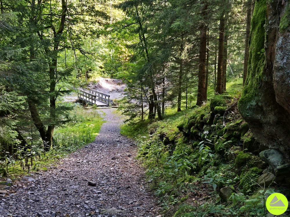 Budniki w Karkonoszach - trasa