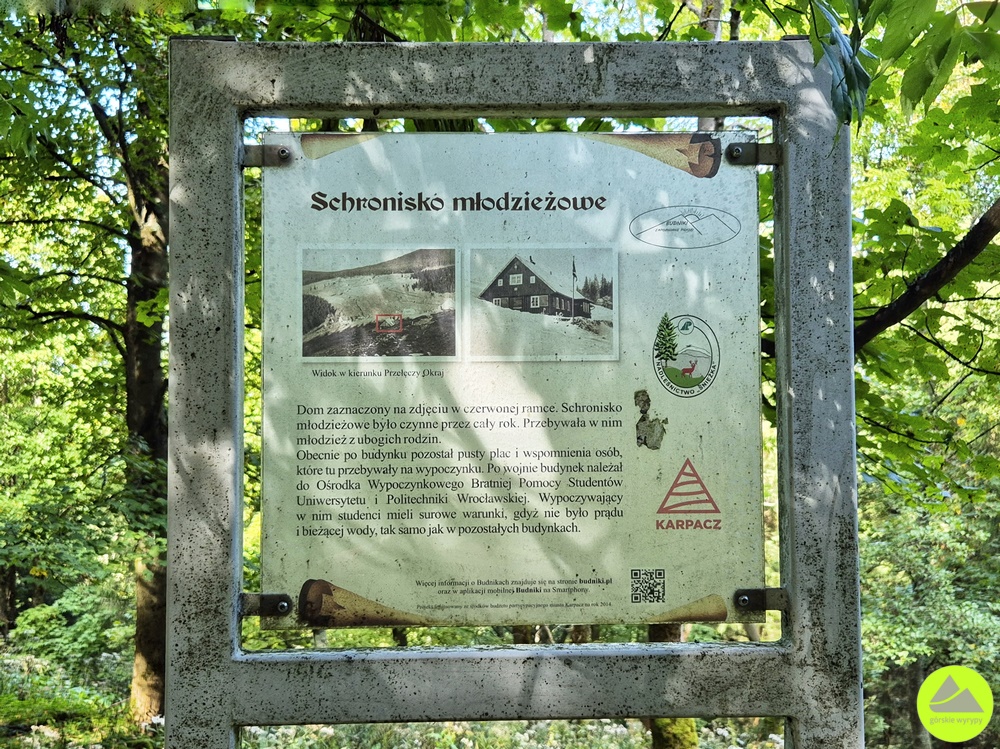 Budniki w Karkonoszach 