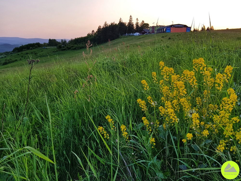 Atrakcje Jelenia Góra - Góra Szybowcowa