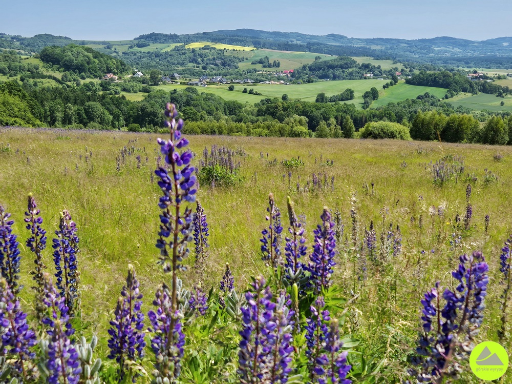 Góra Szybowcowa w Górach Kaczawskich - Górskie Wyrypy