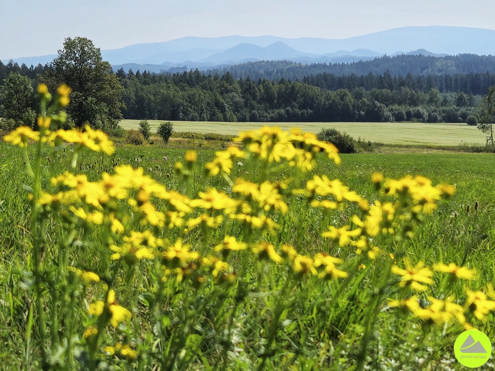 Góra Szybowcowa - Górskie Wyrypy