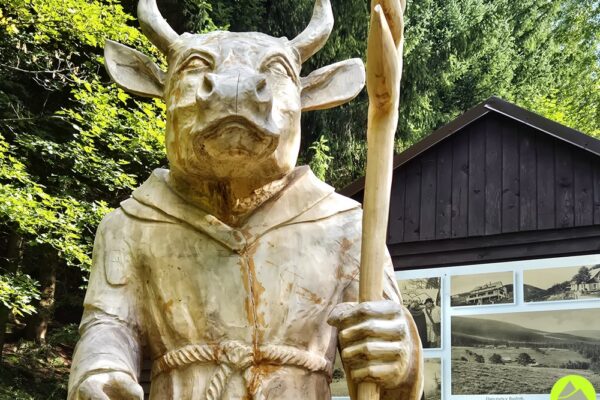 Budniki w Karkonoszach