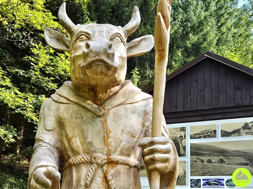 Budniki w Karkonoszach