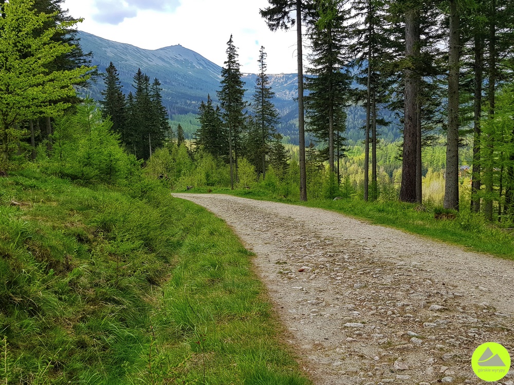 Trasa Tabaczana Ścieżka - Budniki - Karkonosze