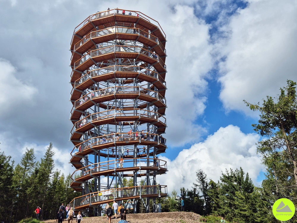 Nowa wieża widokowa na Dzikowcu Wielkim 