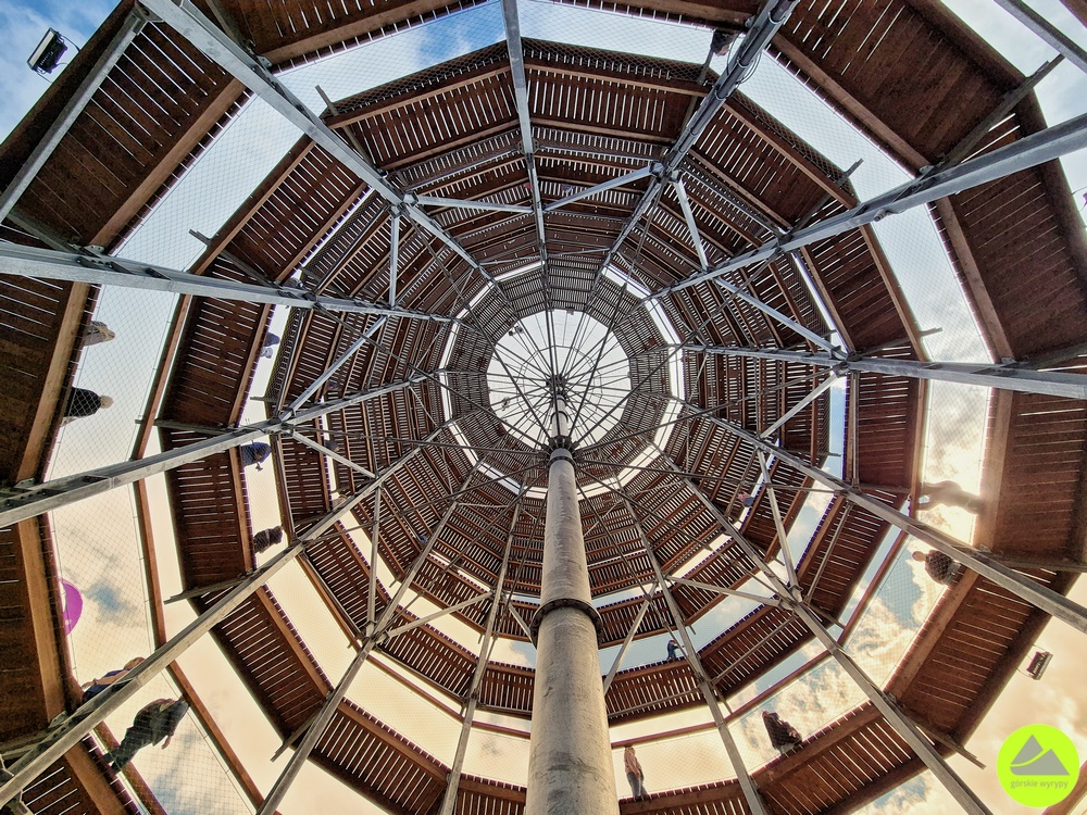 Wieża widokowa na Dzikowcu Wielkim 