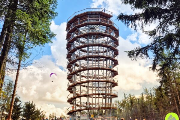 Wieża widokowa na Dzikowcu Wielkim