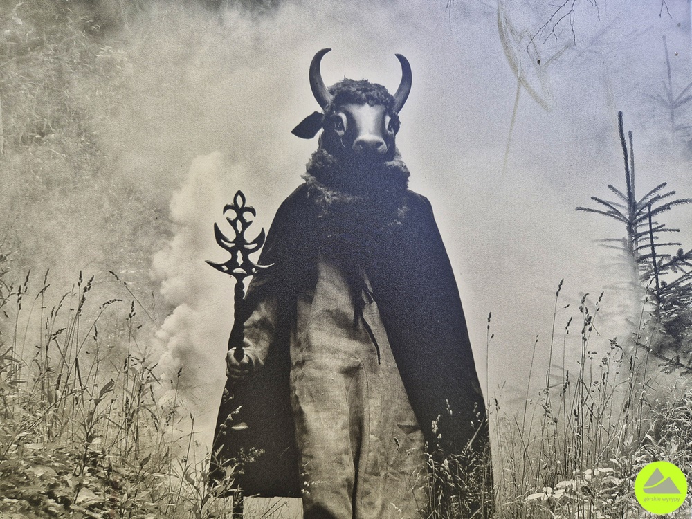 Budniki w Karkonoszach - Wołogór