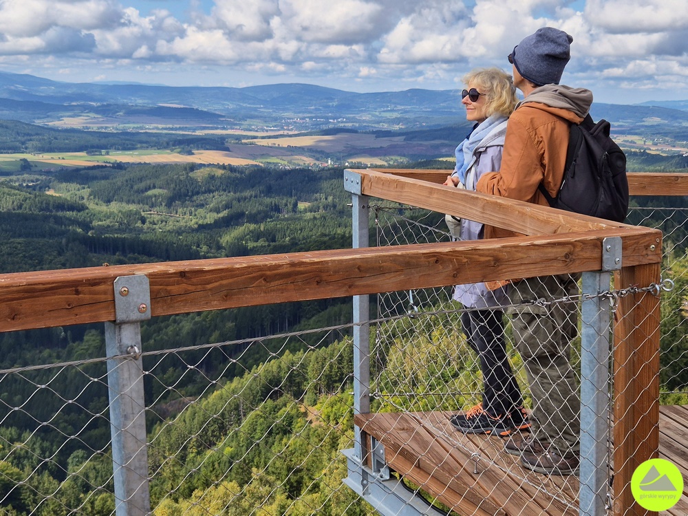 Wieża widokowa na Dzikowcu 