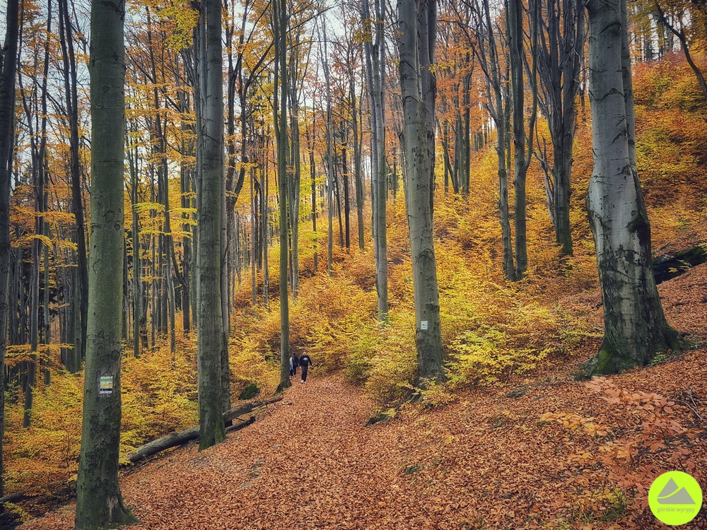 Piekielna Dolina - Przełęcz Żarska - atrakcje KArkronosze 