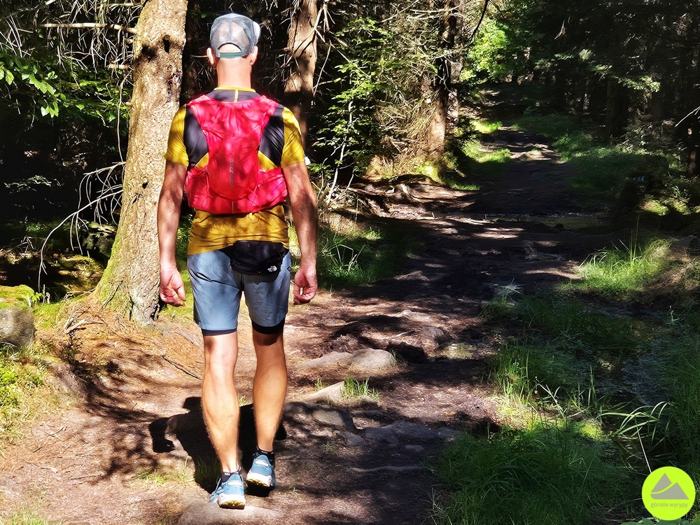 Buty Dynafit Trail recenzja