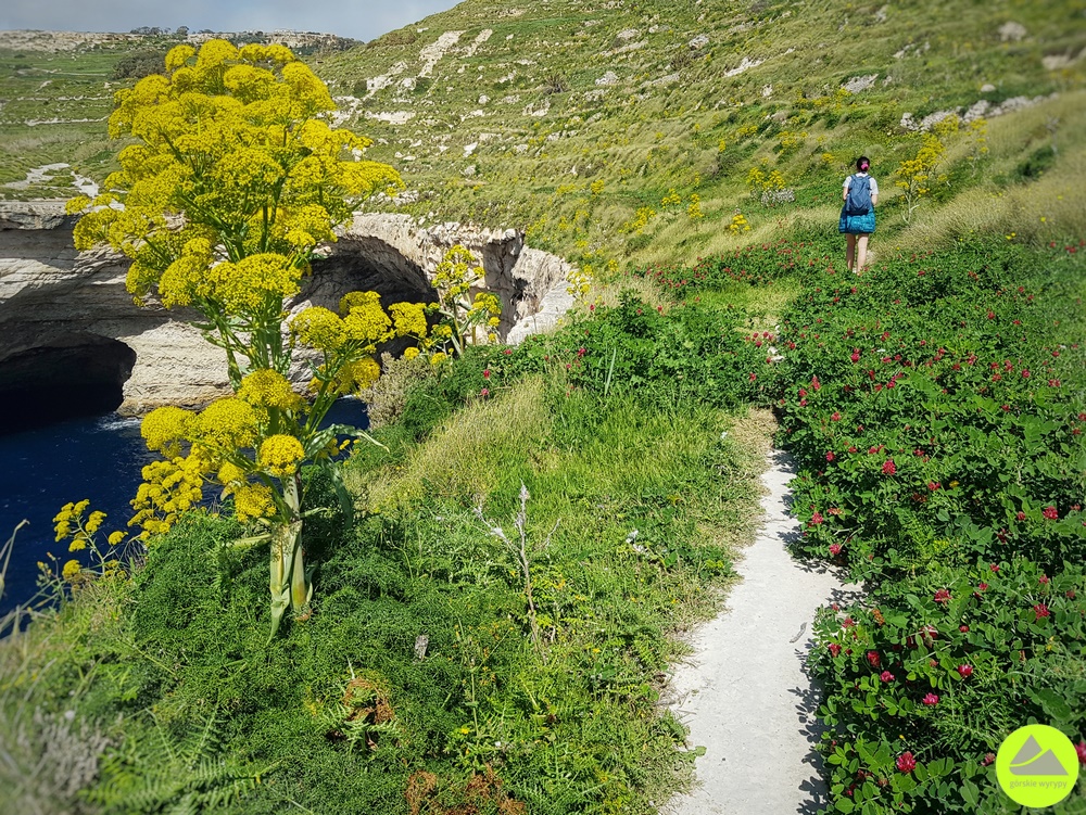 Trasa Miġra l-Ferħa - Ras id-Dawwara 