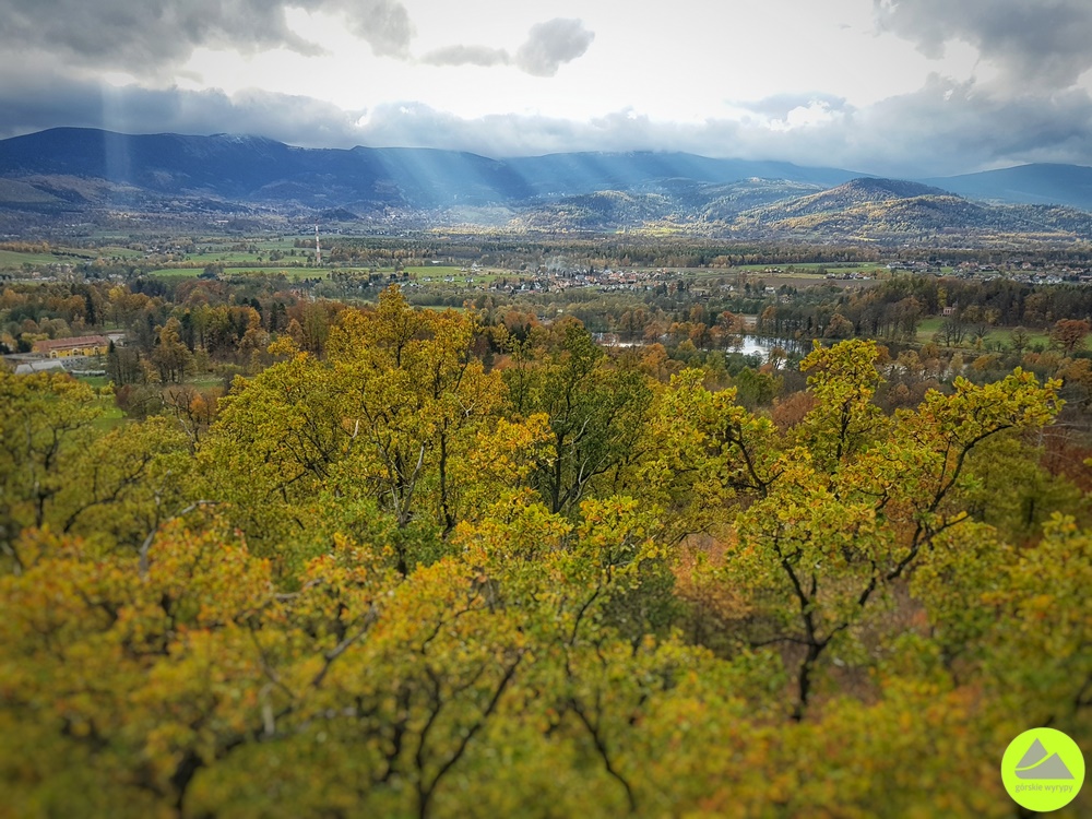 Bukowiec - wieża widokowa 