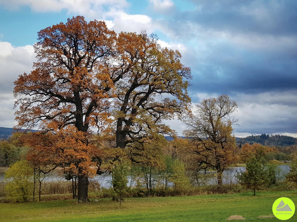 Ornamental Farm Bukowiec 