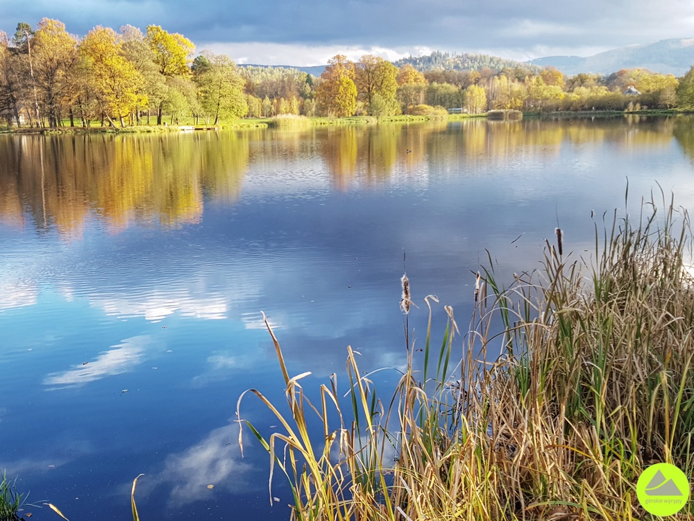Park krajobrazowy w Bukowcu 