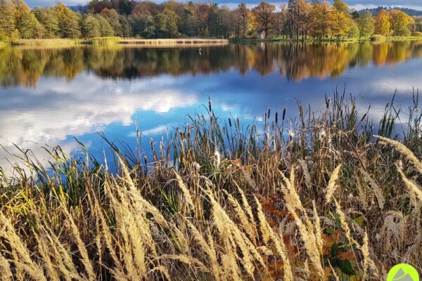 Park krajobrazowy w Bukowcu - Ornamental Farm Bukowiec