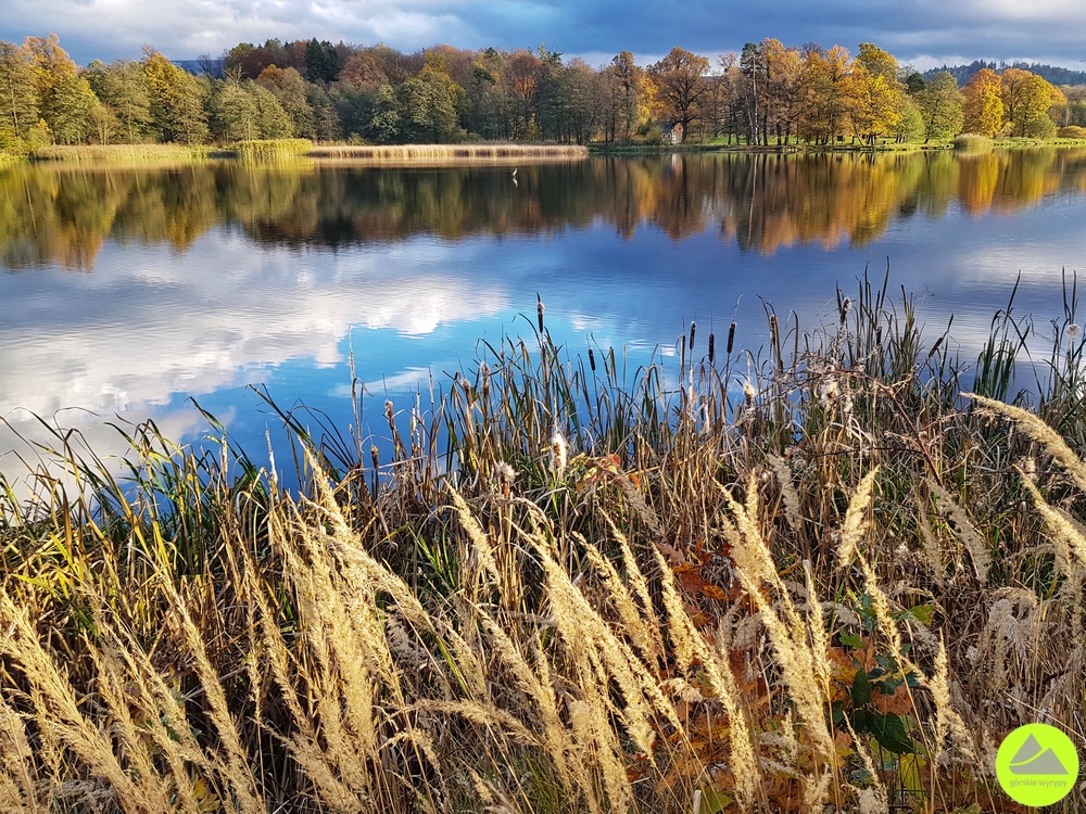 Park krajobrazowy w Bukowcu - Ornamental Farm Bukowiec