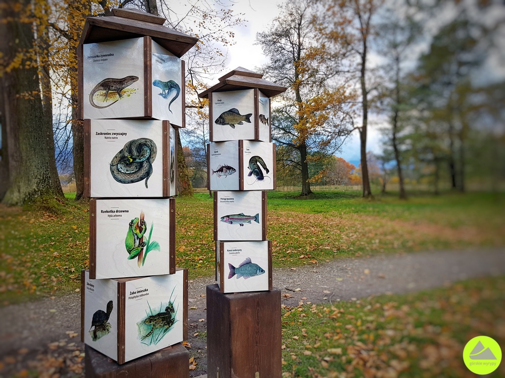 Bukowiec - atrakcje Rudawy Janowickie 