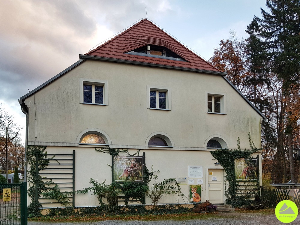 Muzeum Multimedialne Tajemniczy Las w Bukowcu 