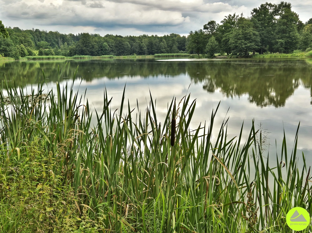 Staw Kąpielnik - park krajobrazowy w Bukowcu 