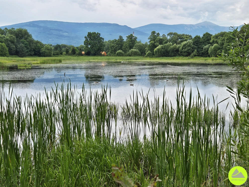 Park krajobrazowy w Bukowcu - Ornamental Farm Bukowiec 