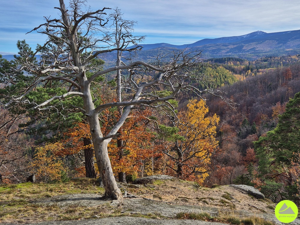 Punkt widokowy na górze Chojnik - atrakcja Karkonosze 