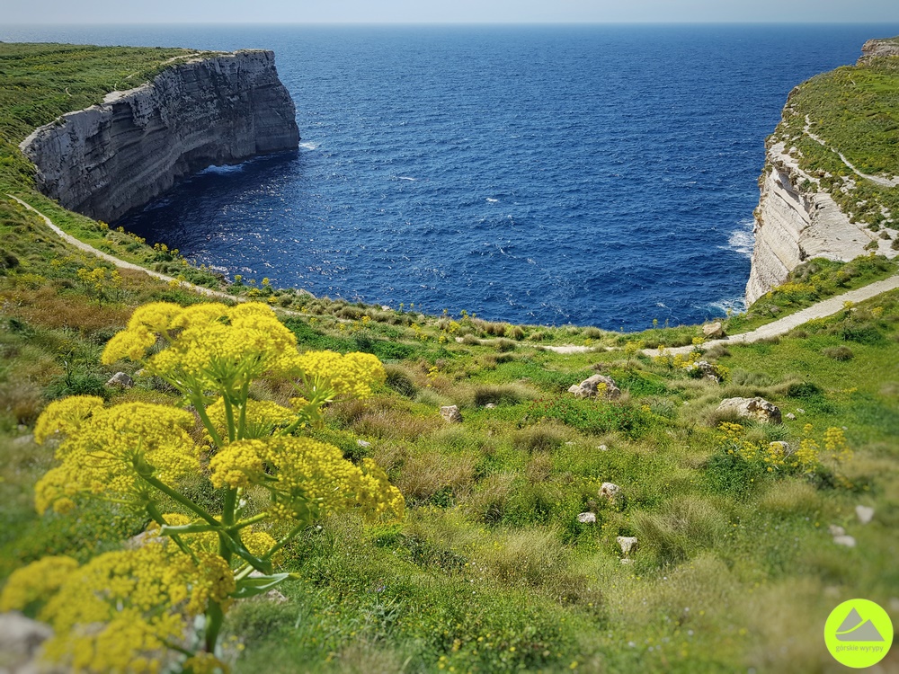 Malta Ras id-Dawwara