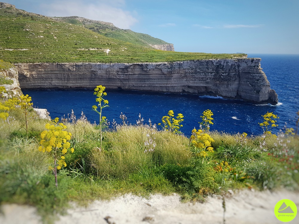 Wędrówka klifami na Malcie