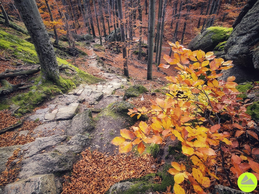 Trasa Piekielna Dolina - Chojnik - Karkonosze 