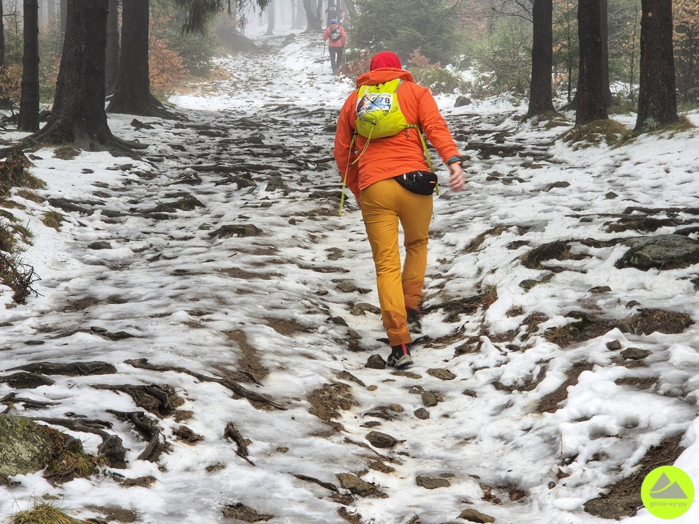 Zimowe Sowie Dreptanie 2025 - relacja Górskie Wyrypy