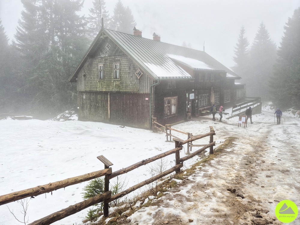 Sowie Dreptanie - zima 2025 - relacja Górskie Wyrypy