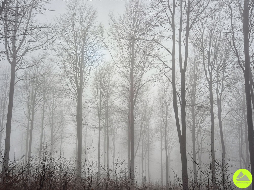 Zimowe Sowie Dreptanie 2025 - relacja Górskie Wyrypy