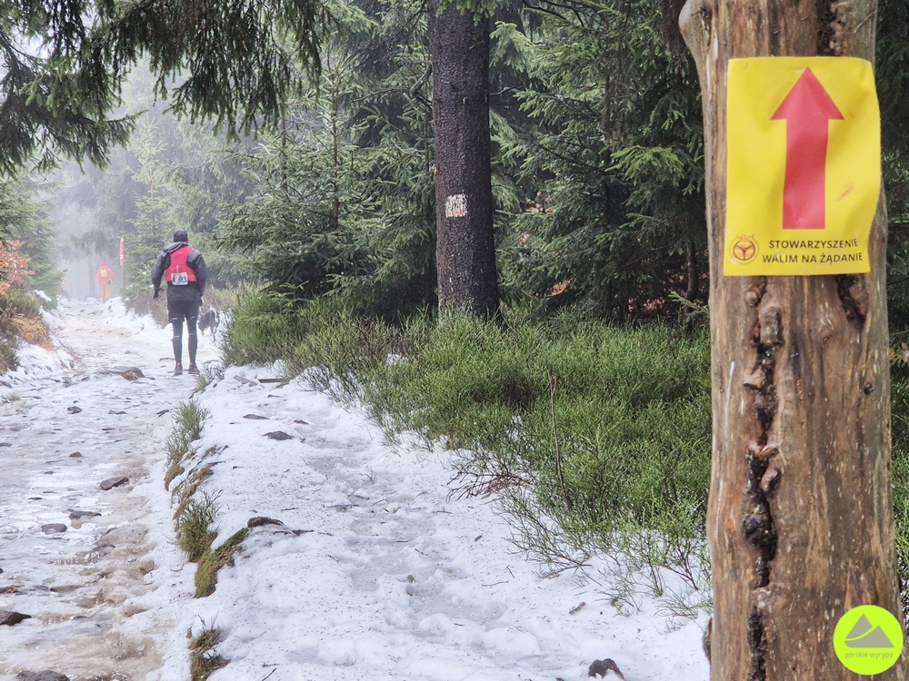 Zimowe Sowie Dreptanie 2025 - relacja Górskie Wyrypy