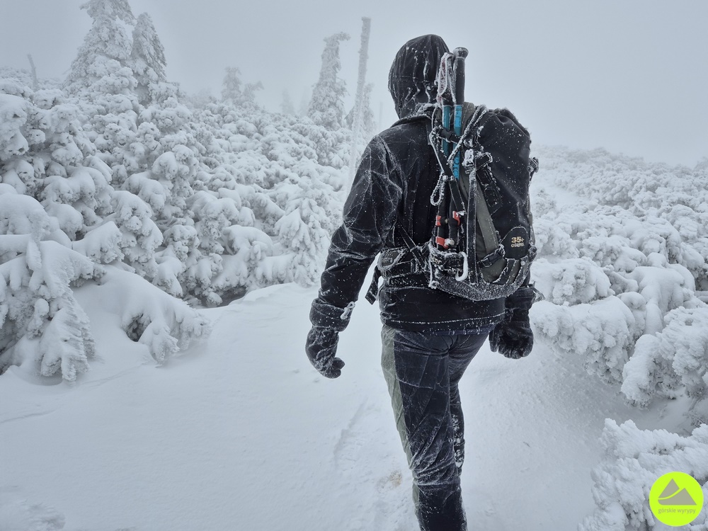 Spodnie Dynafit Traverse Dynastretch - Górskie Wyrypy