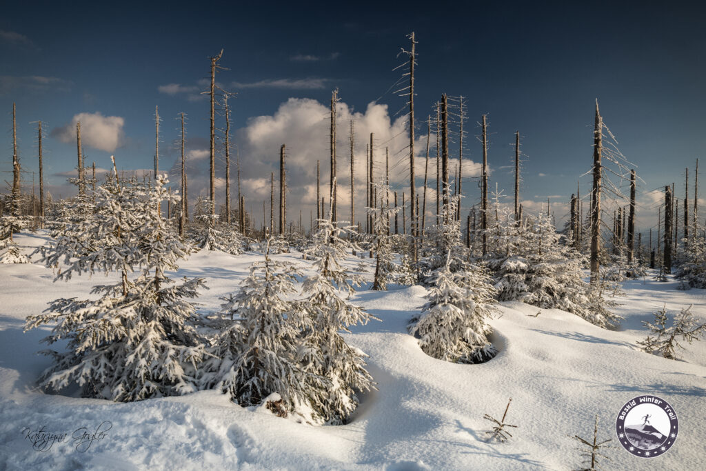 III Beskidzkie Grónie - zima 2026 - imprezy dla piechurów Górskie Wyrypy 