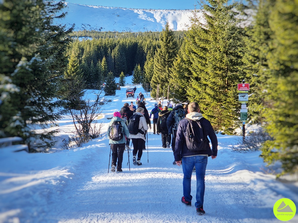 Zimowa trasa w Karkonoszach - Górskie Wyrypy