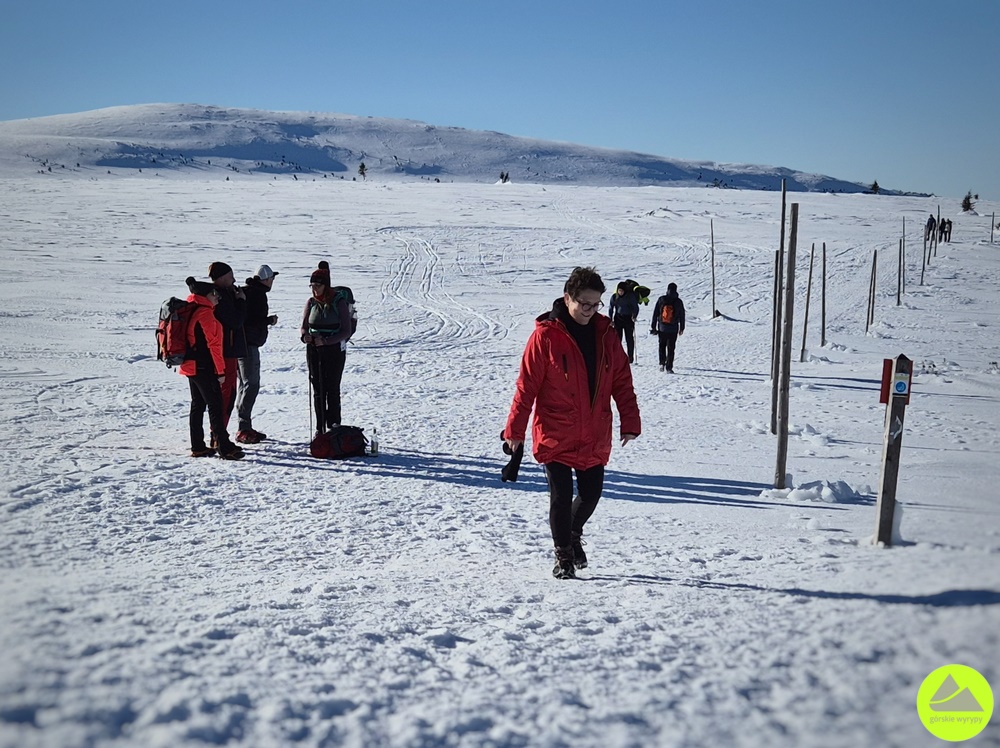 Zimowy szlak z Karpacza w Karkonosze - Górskie Wyrypy