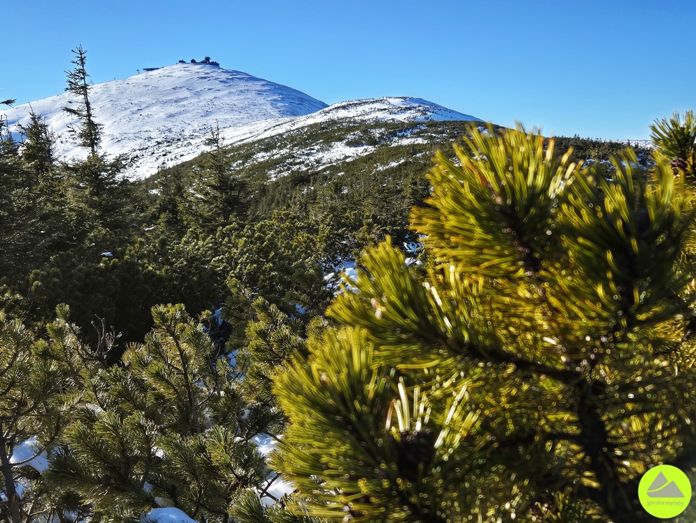 Zimowa wędrówka z Karpacza