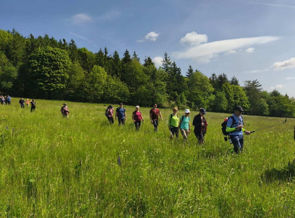 Pieszy Maraton Szlakiem Czterech Zamków