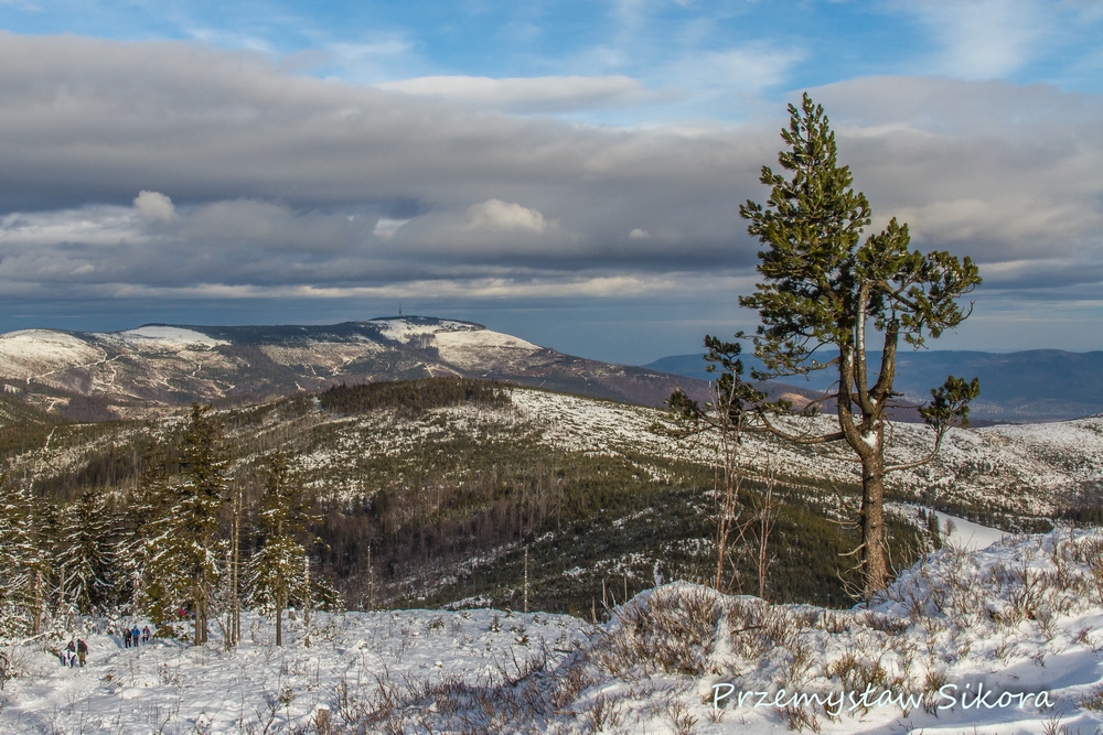 Beskidzkie Grónie Zima 2026