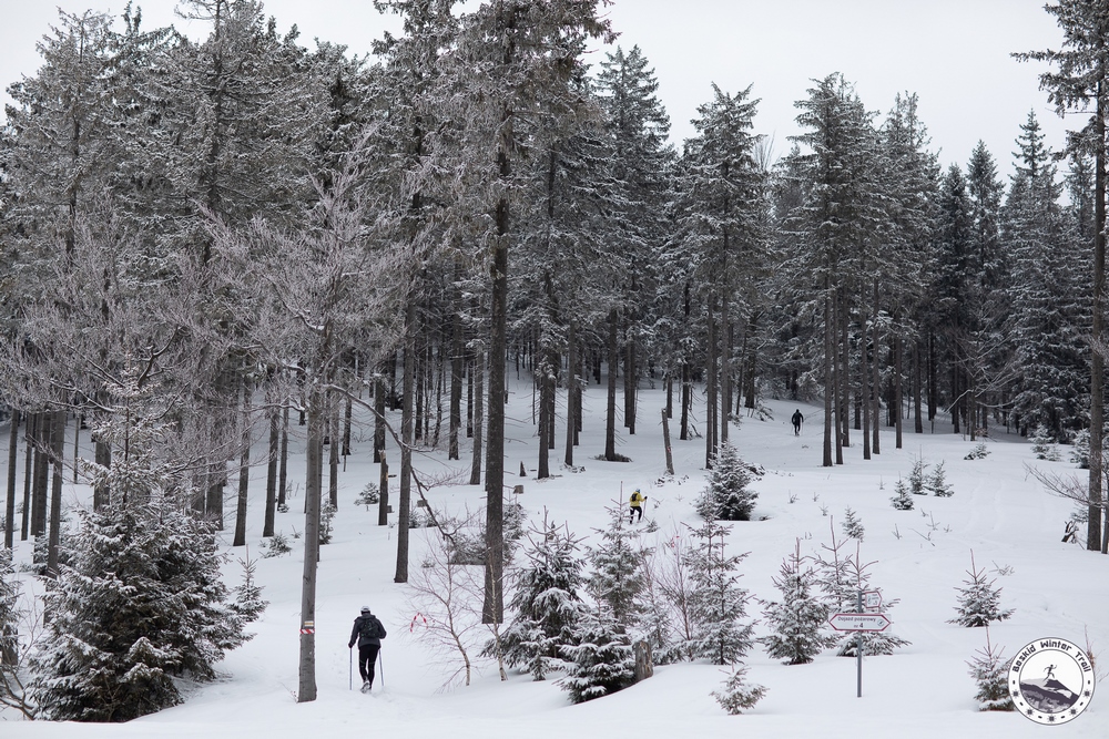 Beskidzkie Grónie Zima 2026