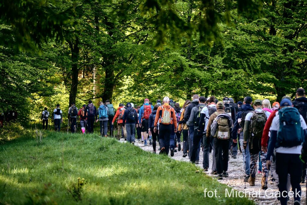 Impreza dla piechurów w Sudetach 