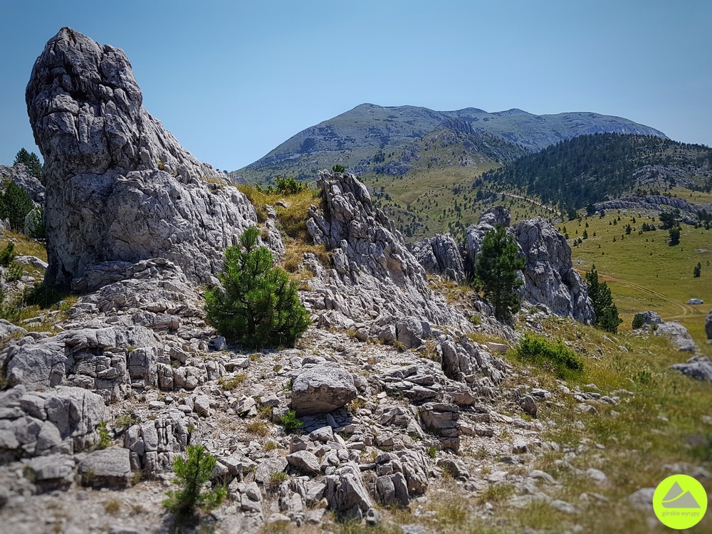 Dinara - trasa na szczyt 