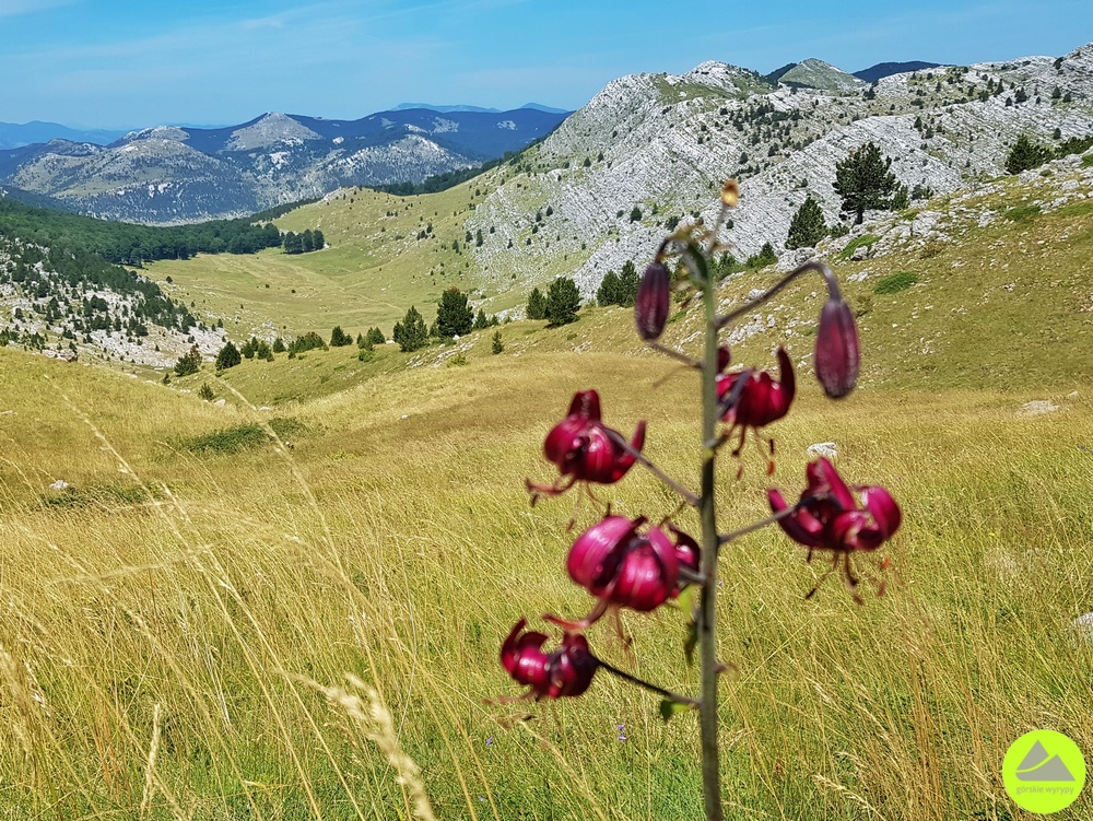 Park Przyrody Dinara - góry Chorwacji - Górskie Wyrypy 
