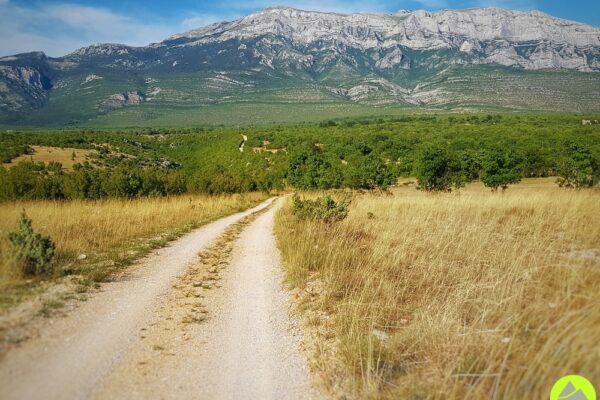 Dinara - Dinare - Sinjal