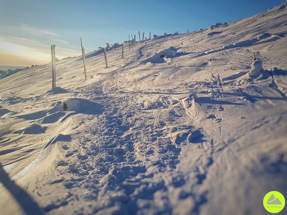 Karkonosze zimą - trawers Wielkiego Szyszaka