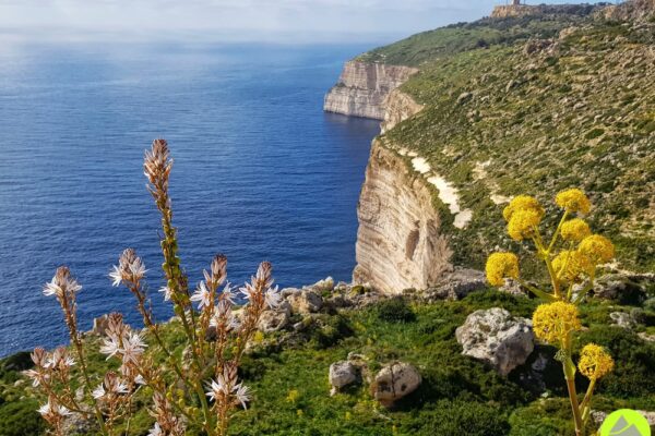 Klify Dingli - Dingli Cliffs - Górskie Wyrypy