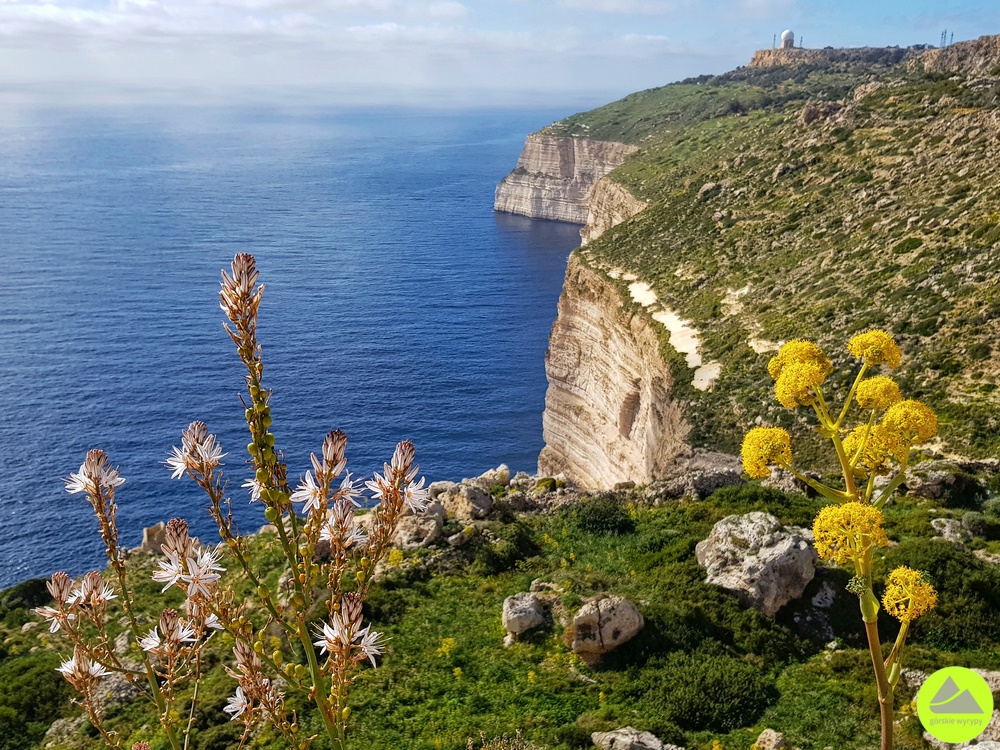 Klify Dingli na Malcie - Malta trekking 